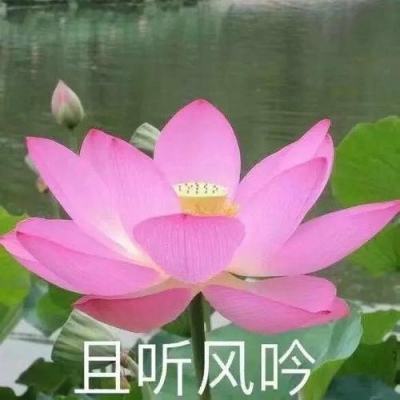 画辆车快冲游戏
